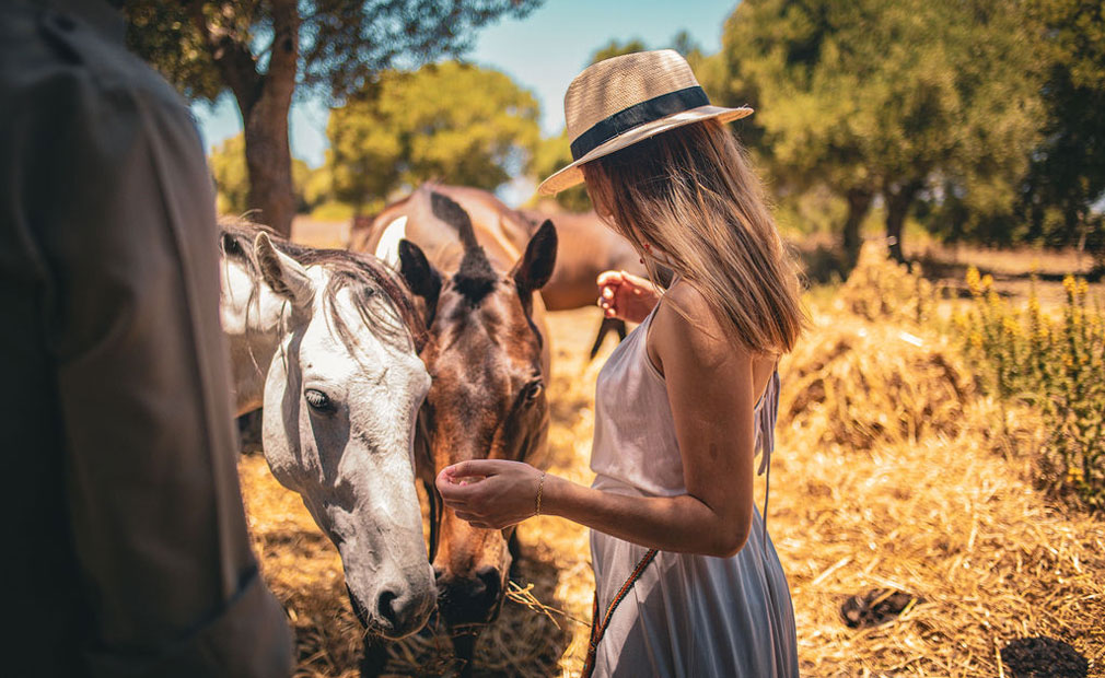 Experiencia Mindfulness con caballos